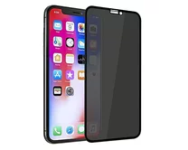 Защитное стекло iPhone 12 Pro Max Full приватное черное