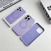 Чехол iPhone 11 Leather Candy MagSafe (голубая волна)